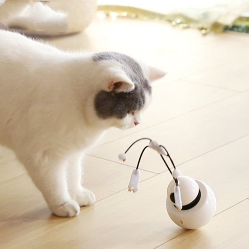 Electric Cat Toy